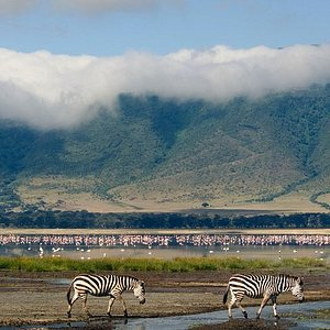 3 Days Ngorongoro and L.Manyara Tour Camping