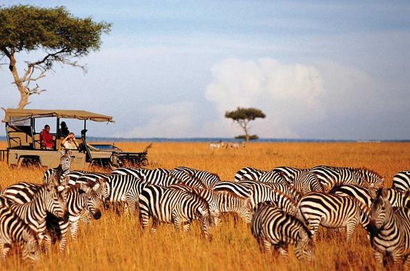A Thrilling 3- Day Maasai Mara Group Joining Safari