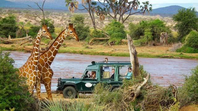 4 Days Samburu/Lake Nakuru tour