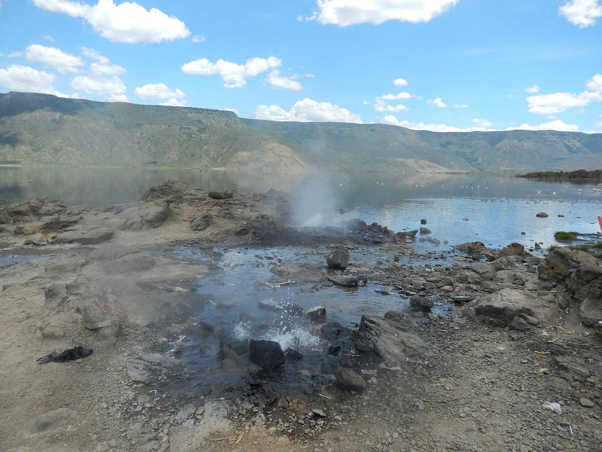 6 Days Masai Mara, Bogoria, Lake Nakuru